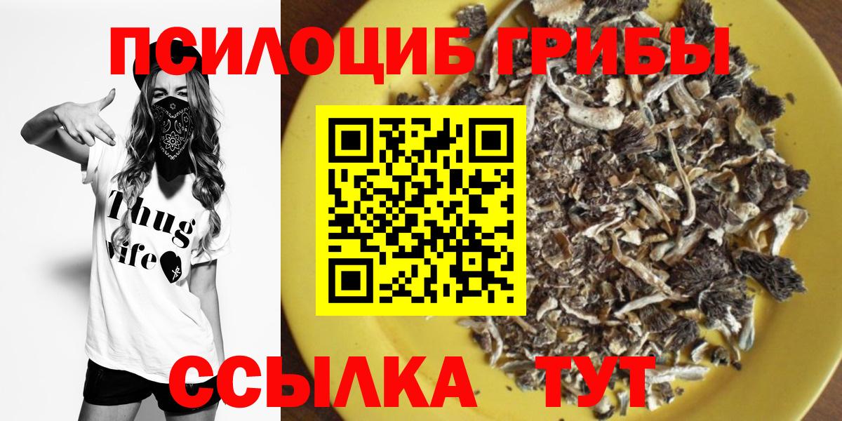 где можно купить наркотик  Вход с VPN  Корсаков  Псилоцибиновые грибы Psilocybe 