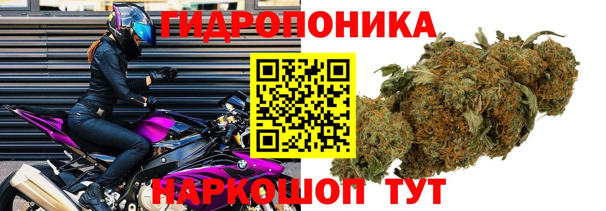Канабис White Widow Корсаков